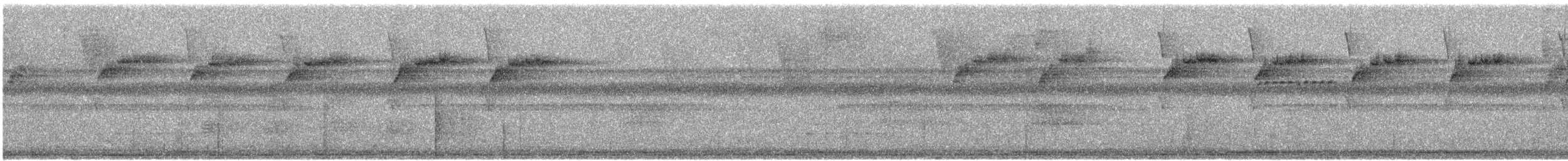 White-chinned Sapphire - ML194402861