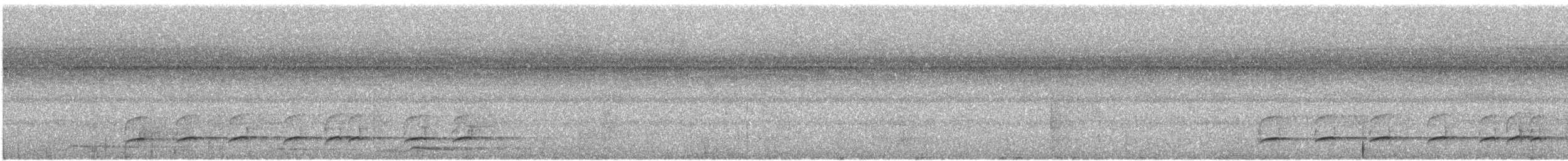 Wing-barred Piprites - ML194403641