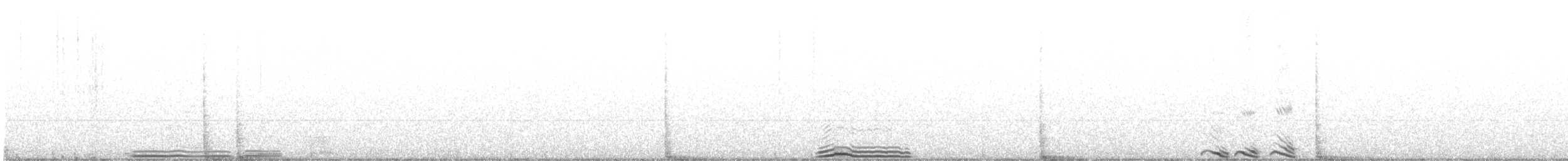 Büyük Çayır Tavuğu (attwateri) - ML194473671