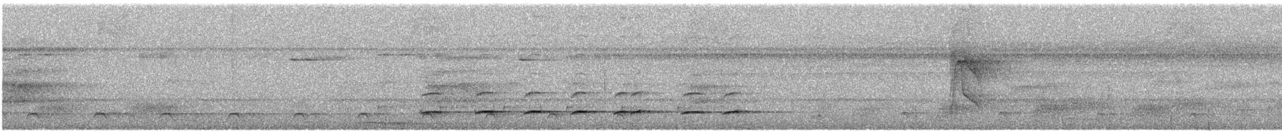 Wing-barred Piprites - ML194487421