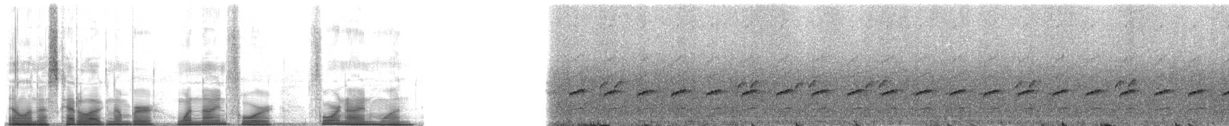 Rivero's Poison Frog - ML194491