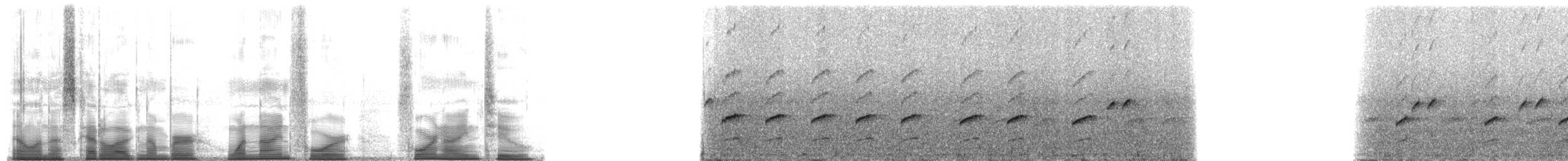 Rivero's Poison Frog - ML194492