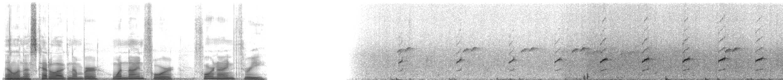 Rivero's Poison Frog - ML194493