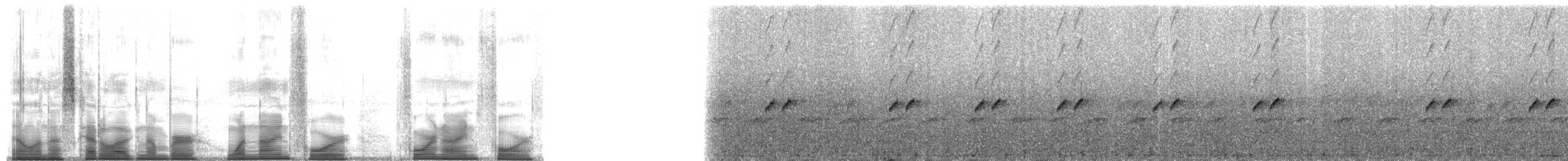 Yellow-throated Frog - ML194494