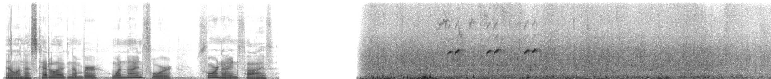 Yellow-throated Frog - ML194495