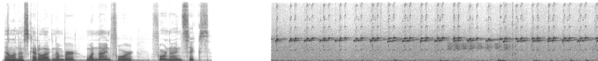 Yellow-throated Frog - ML194496