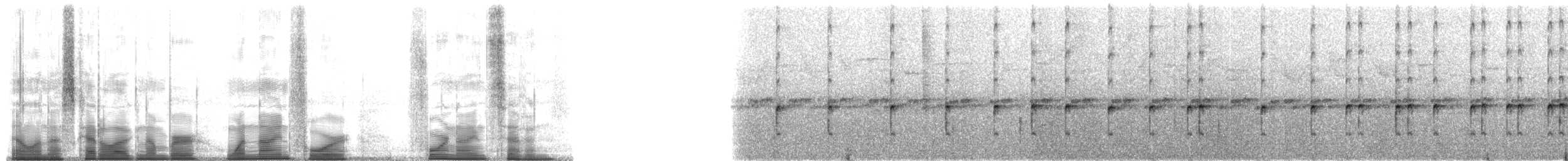 Yellow-throated Frog - ML194497