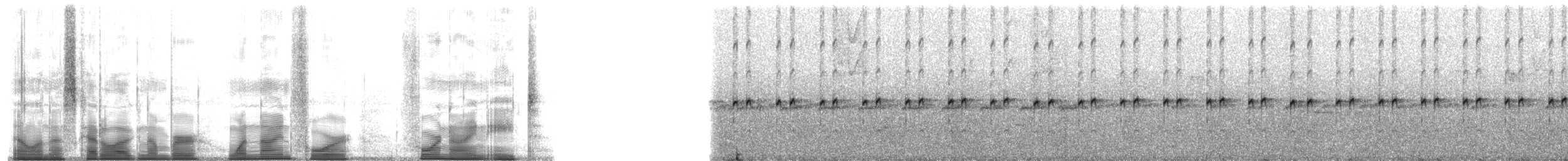 Yellow-throated Frog - ML194498