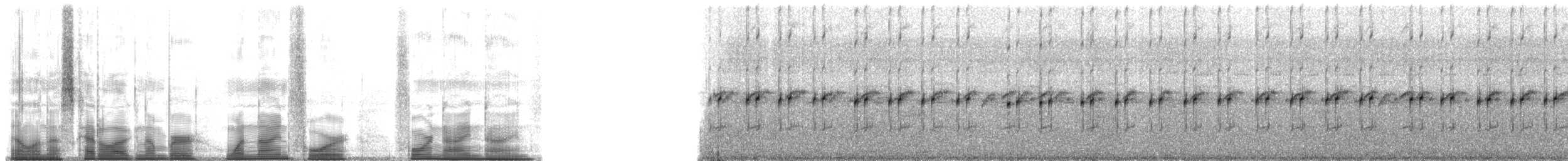 Yellow-throated Frog - ML194499