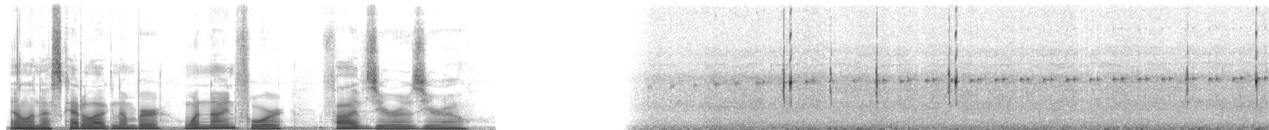 Dunn's Rocket Frog - ML194500