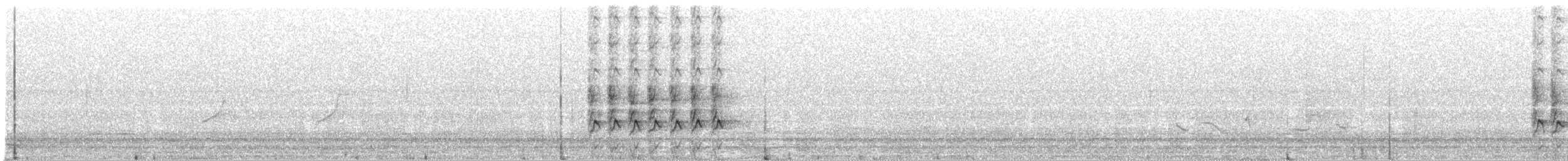 Madeira Chaffinch - ML194500641