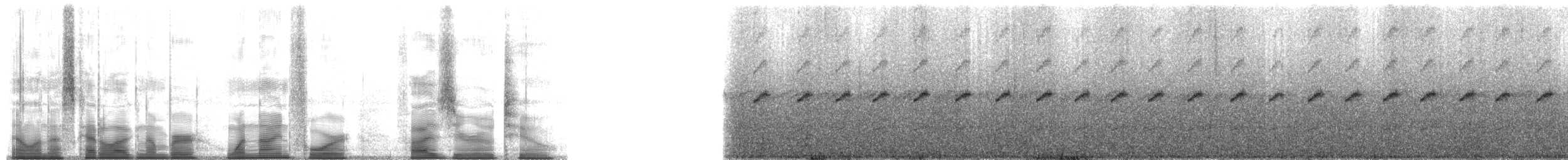 Dunn's Rocket Frog - ML194502