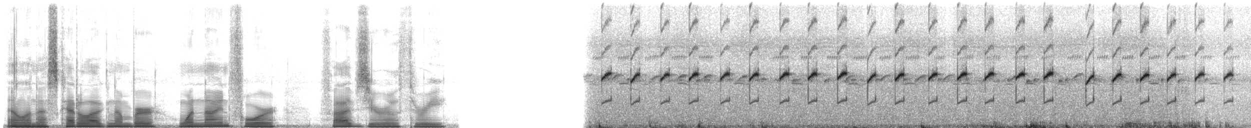 Dunn's Rocket Frog - ML194503