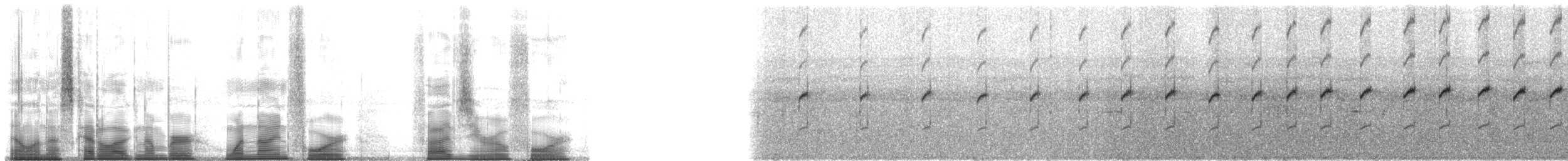 Dunn's Rocket Frog - ML194504