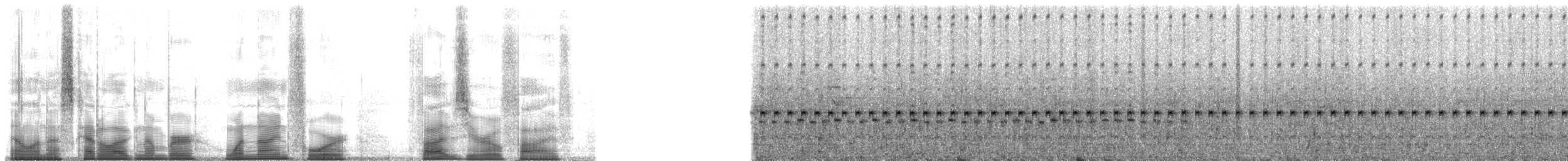 Collared Poison Frog - ML194505