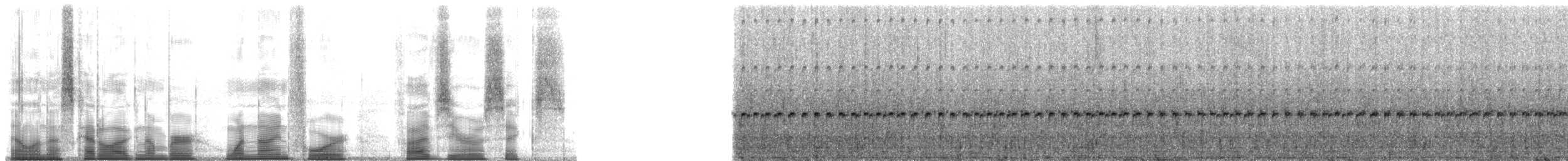 Collared Poison Frog - ML194506