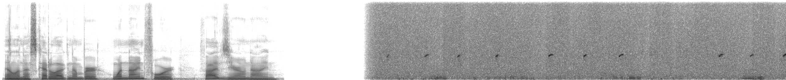 Bogota Rocket Frog - ML194509