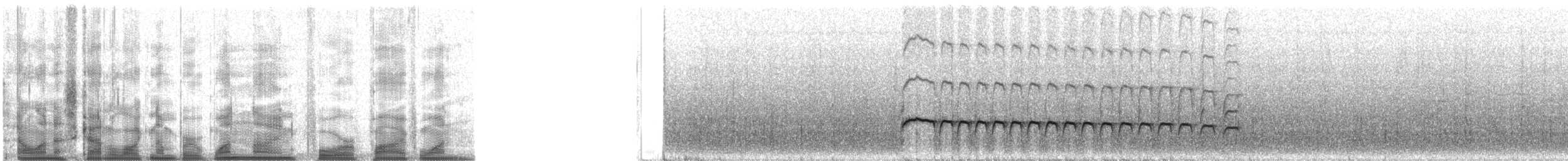 パナマヒタキモドキ - ML19451