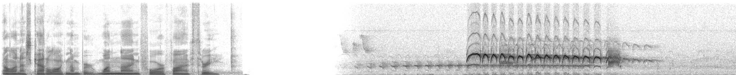 パナマヒタキモドキ - ML19453