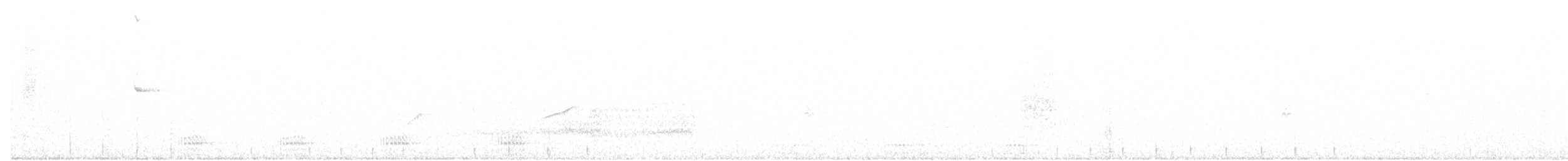 White-tailed Kite - ML194538381
