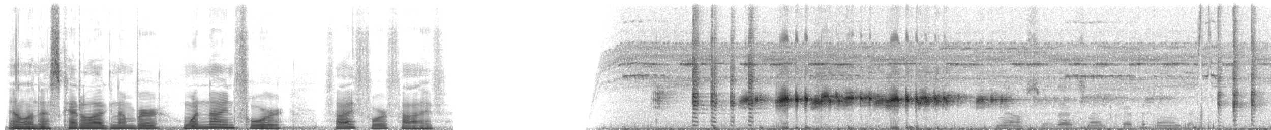 Clown Tree Frog - ML194545