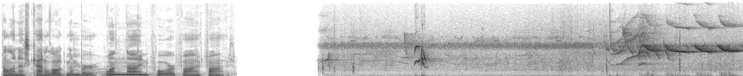 パナマヒタキモドキ - ML19455