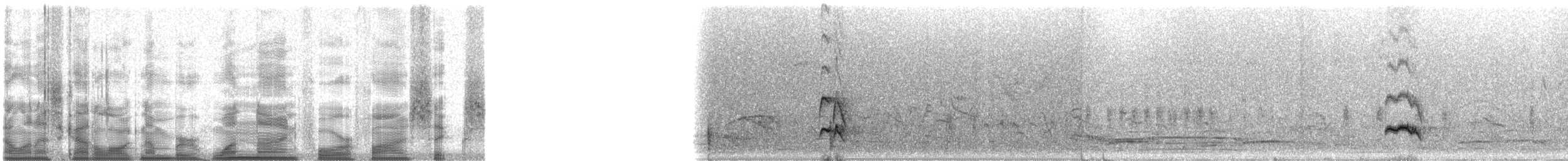 パナマヒタキモドキ - ML19456