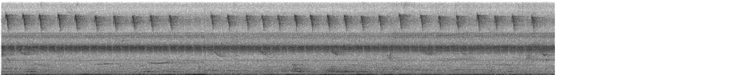 Berylline Hummingbird - ML194567051