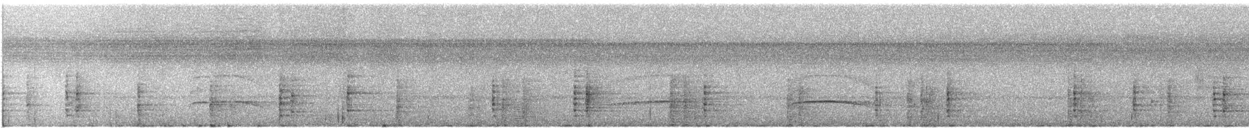 アオバネラッパチョウ（obscura） - ML194567101