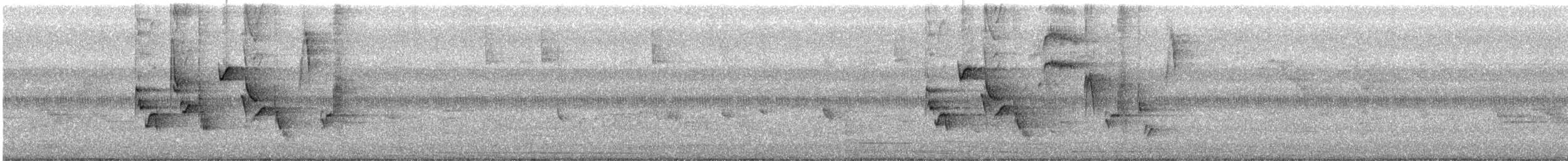 oransjenebbskogtrost (melpomene gr.) - ML194592161