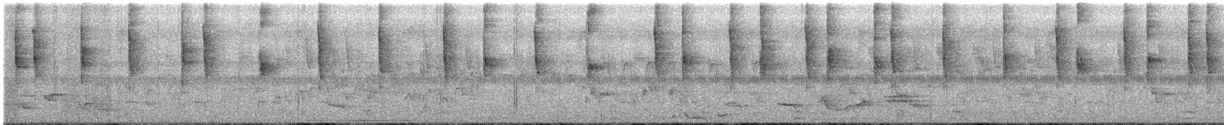 Синегрудый фиалкоух - ML194602541