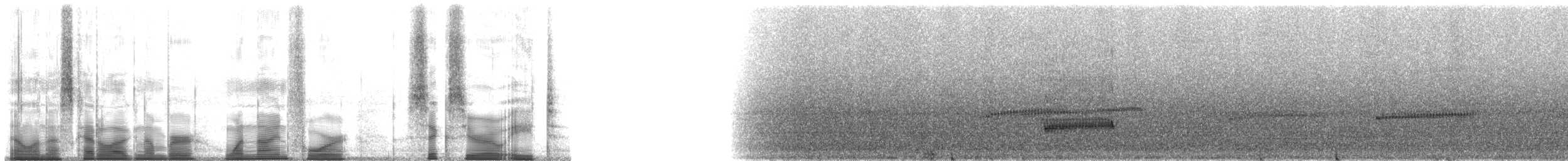 Rednose Stubfoot Toad - ML194608