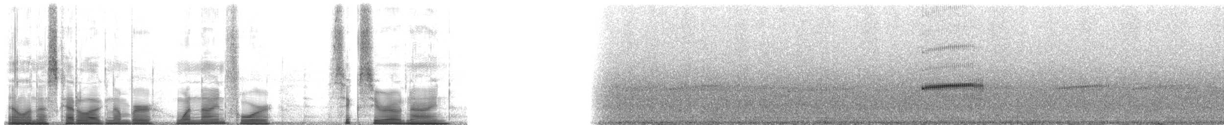 Rednose Stubfoot Toad - ML194609