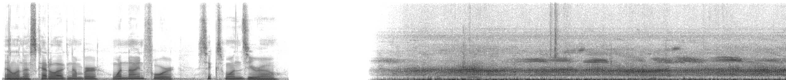 Broad-headed Tree Frogs - ML194610