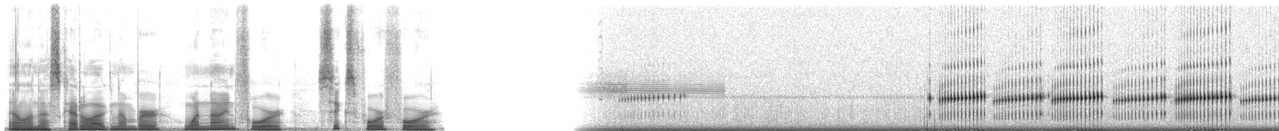 Western Chorus Frog - ML194644