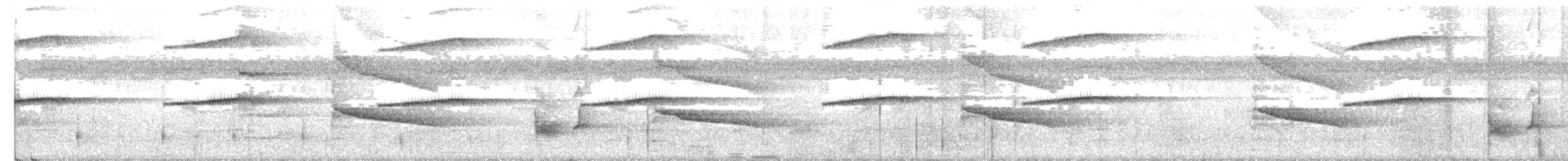 Чернолицая агуйла - ML194645881