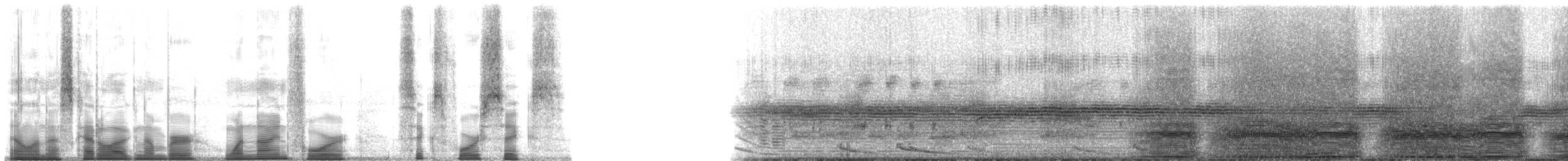 Colombian Plump Frog - ML194646