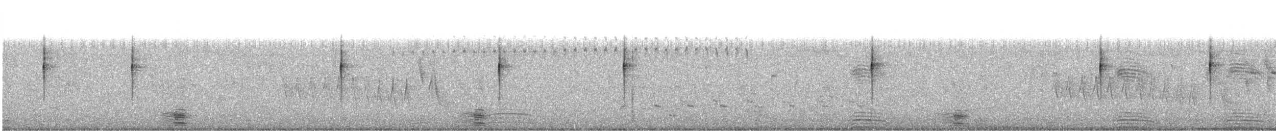 New Zealand Fernbird - ML194661571