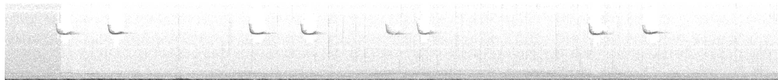 Amerika Tırmaşıkkuşu (americana/nigrescens) - ML194687331