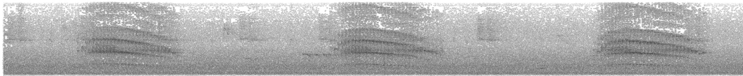 Striped Treehunter - ML194701861