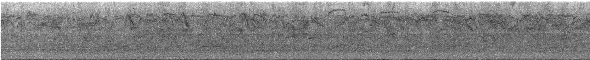 歐洲椋鳥 - ML194724531