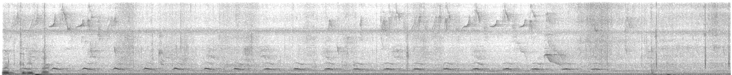 Trogon à queue noire - ML194745031