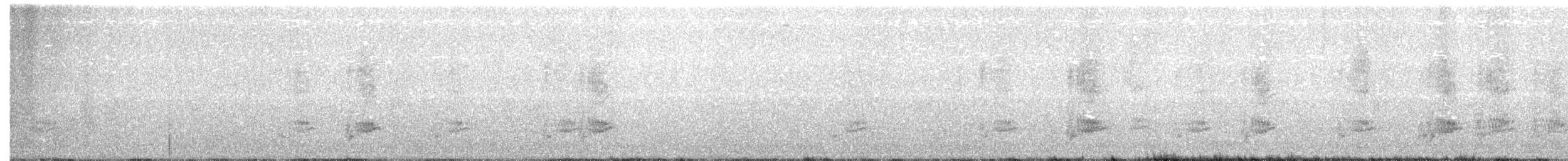 Geai à gorge blanche - ML194776521