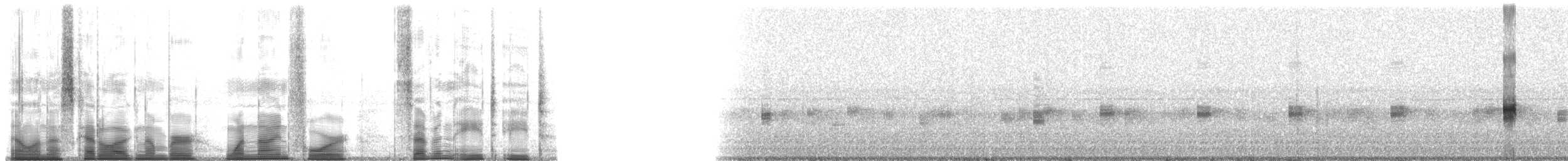 Puerto Cabello Tree Frog - ML194788