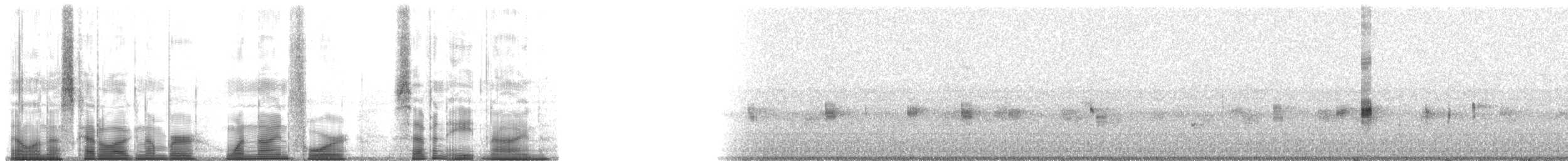 Puerto Cabello Tree Frog - ML194789