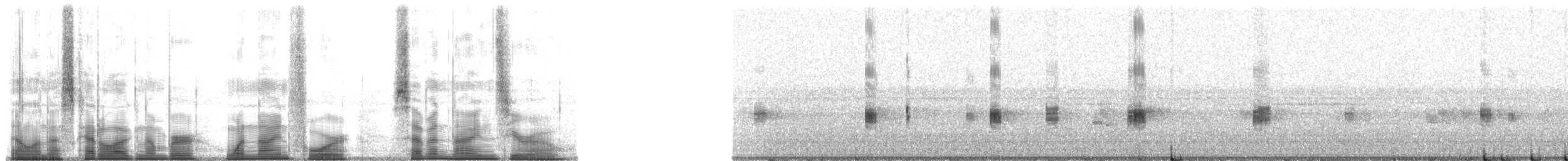 Puerto Cabello Tree Frog - ML194790