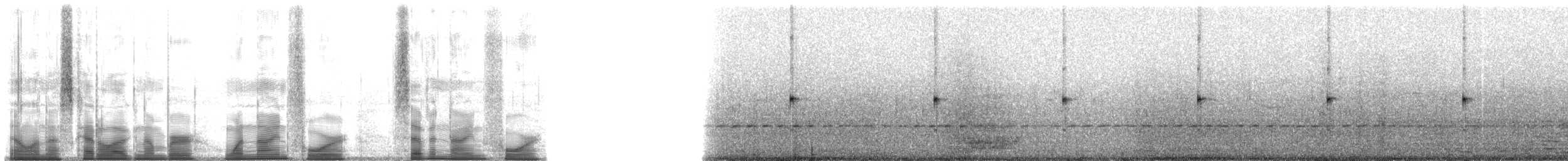 Bogota Rocket Frog - ML194794