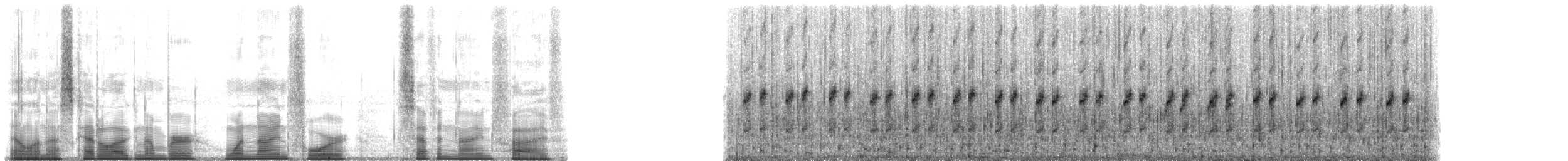 Bogota Rocket Frog - ML194795