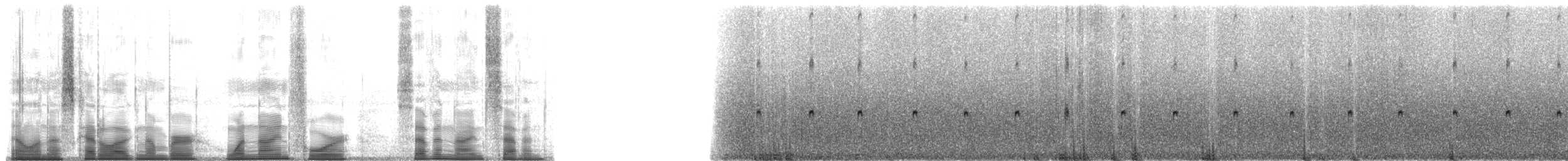 Bocage's Rocket Frog - ML194797