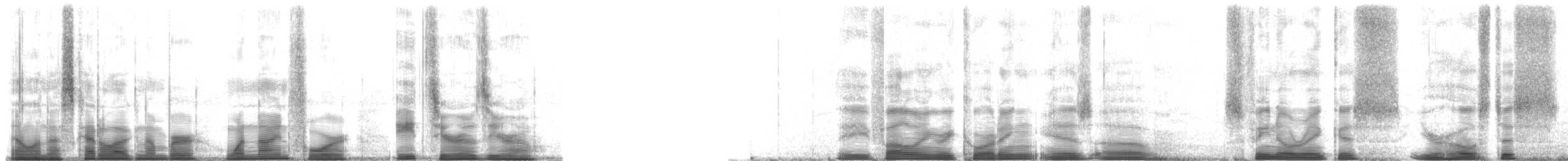 Greater Hatchet-faced Tree Frog - ML194800